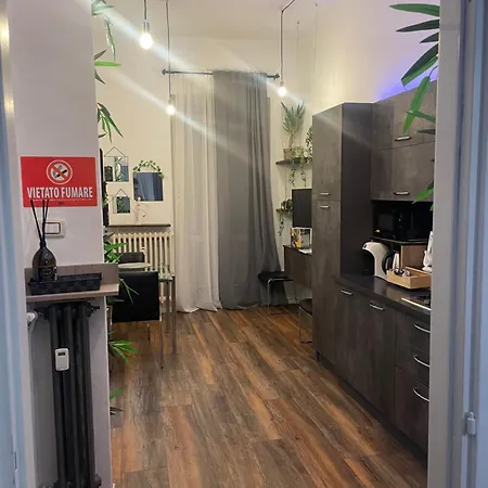 Show House 토리노