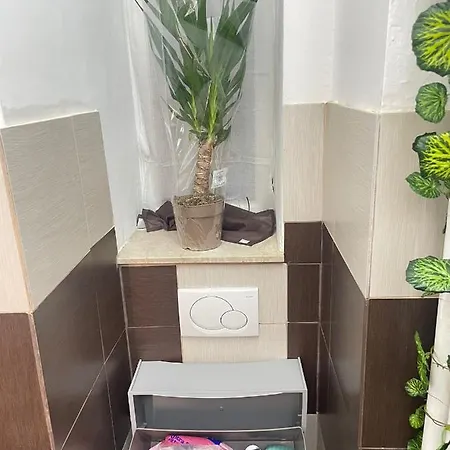 Show House *